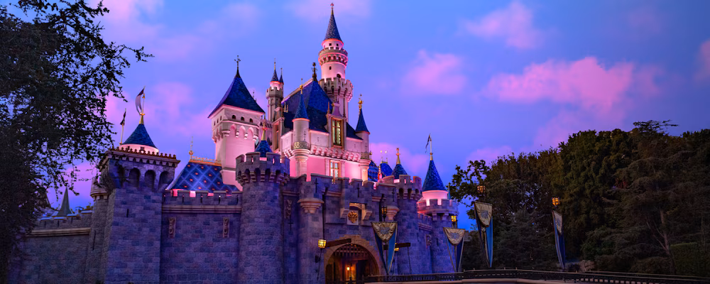 Disneyland Resort Experience